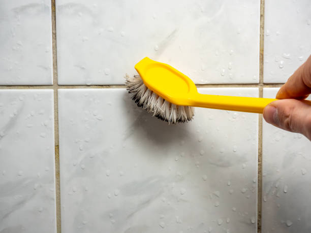 Trusted Rugby, ND Mold Removal Experts
