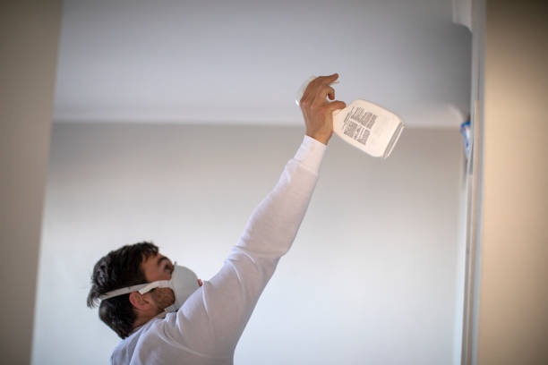 Best Local Mold Removal Service  in Rugby, ND