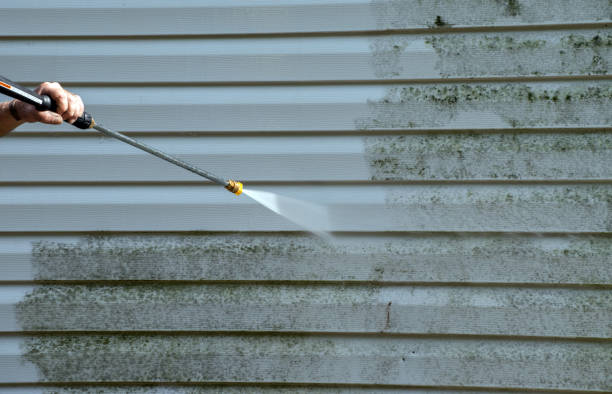 Best Residential Mold Removal  in Rugby, ND