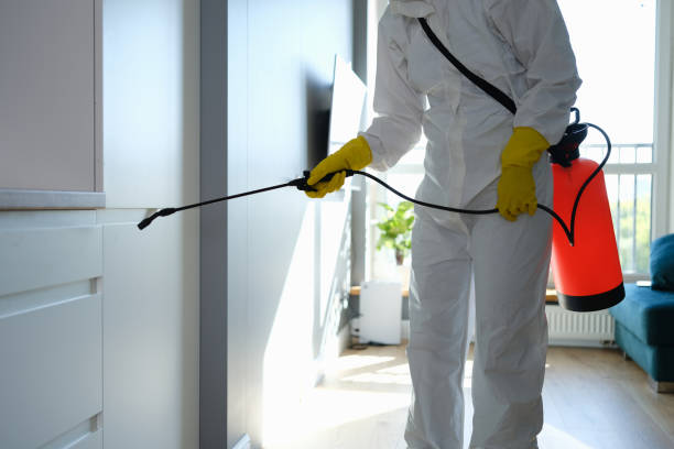 Certified Mold Removal in Rugby, ND