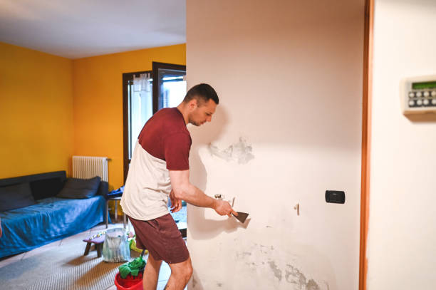 Best Toxic Mold Removal  in Rugby, ND